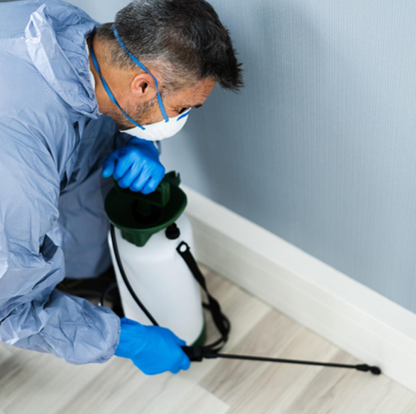 Pest Control